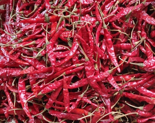 Dried Red Chilli